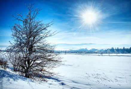 季节景观背景冬季景观日照