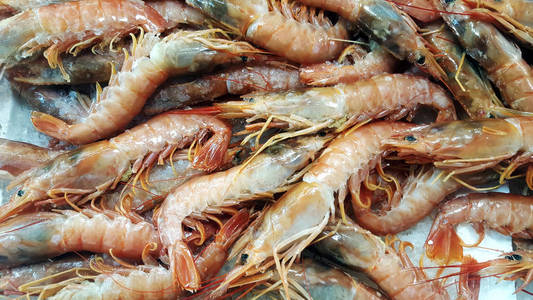 鲜虾作为鱼市销售的背景