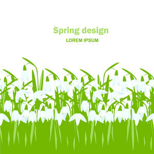 雪球无缝背景。 白色的春天花，绿色的叶子，白色的背景，春天的设计，玫瑰。 平面设计元素股票矢量插图网页印刷