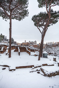 意大利罗马2018年2月26日雪的一个可爱的日子雪下的罗马竞技场的美丽景色