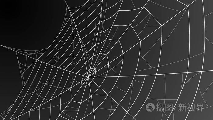 用于万圣节设计的蜘蛛网插图.向量背景