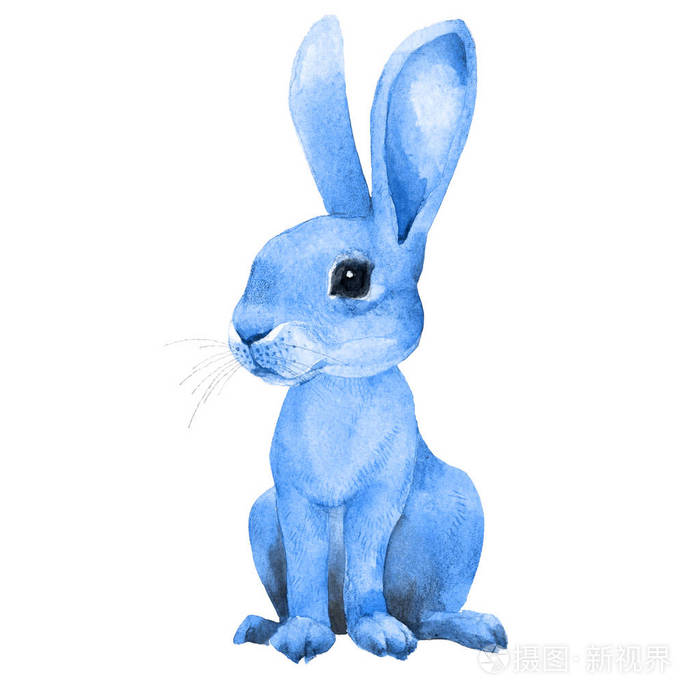 可爱的兔子小兔子蓝色兔子手绘水彩插图分离白色背景jpg