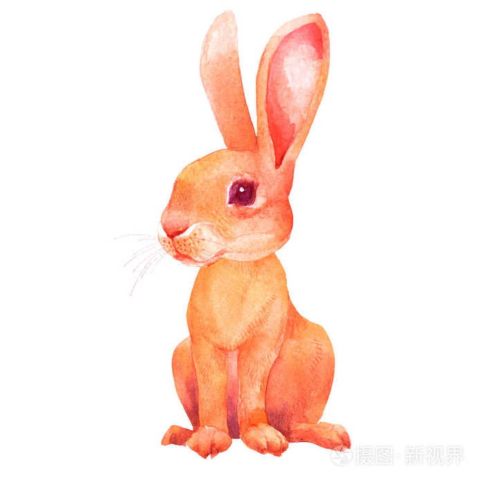 可爱的兔子。 棕色野兔。 复活节设计。 手绘水彩插图