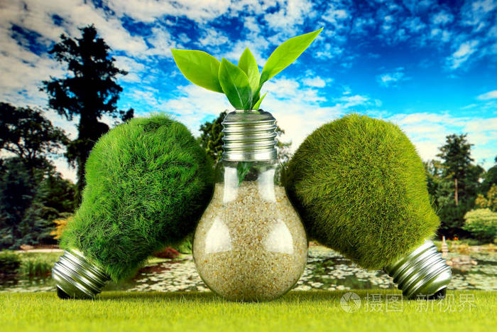 绿色生态灯泡与草植物生长在灯泡和蓝天背景. 可再生能源概念.
