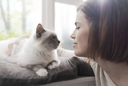 年轻女子在家中抚摸她漂亮的猫，旁边是窗户宠物和生活方式的概念