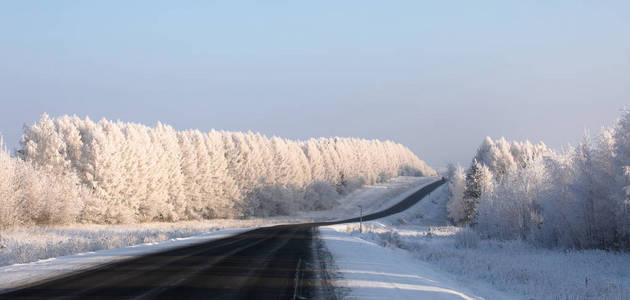 冬天的路。 黑色的公路穿过一片白雪覆盖的森林。 冬霜日