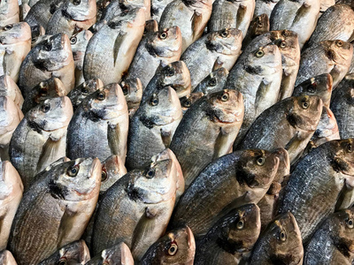 在伊斯坦布尔市场集市上出售的生缝鱼。 有机食品。