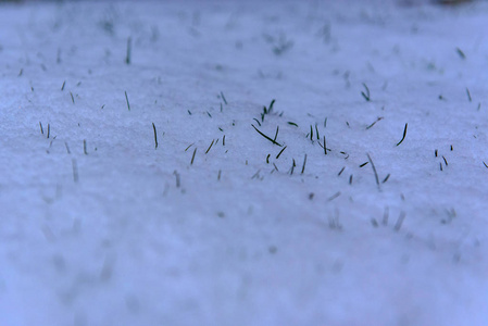 冬天在卡尼罗的草地上下雪。安道尔，卡尼略