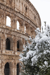 意大利罗马2018年2月26日雪的一个可爱的日子雪下的罗马竞技场的美丽景色