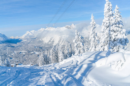 查看冬季景观与雪覆盖的树木和阿尔卑斯山在西菲尔德在奥地利的蒂罗尔州。 奥地利冬季
