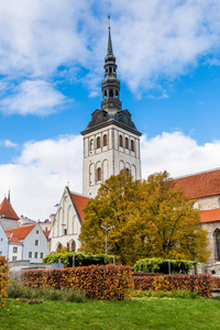 欧洲东欧波罗的海国家爱沙尼亚塔林。 圣尼古拉斯教堂塔尖。
