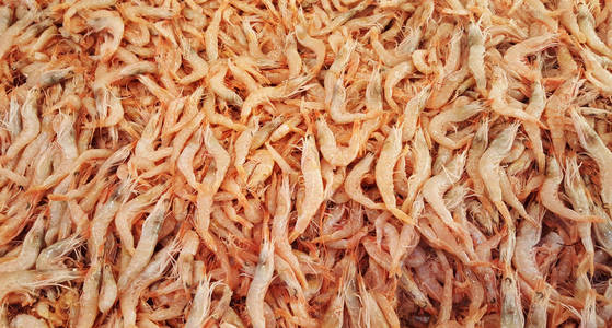 鲜虾作为鱼市销售的背景
