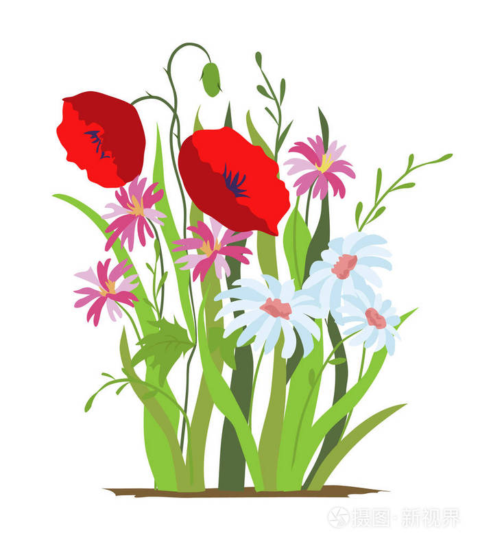 一套野生森林和花园花. 春季概念. 白色背景上的平面矢量花图隔离