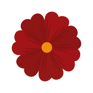 花自然动画片照片