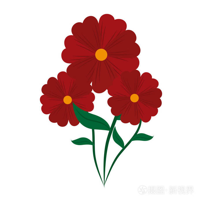 花自然动画片