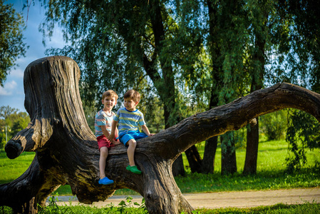 两个男孩坐在原木上。 孩子在夏天的公园或森林里散步。 那孩子坐在一棵倒下的树上。 儿童的户外乐趣。