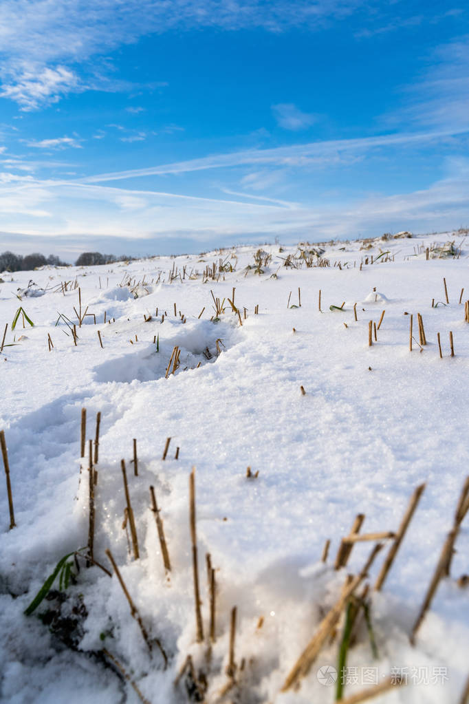 阳光明媚的冬日空旷的乡村景观积雪覆盖地面抽象的背景深刻的视觉概念