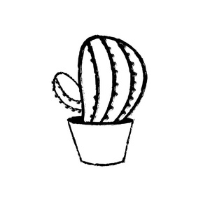 沙漠自然矢量插图的植物仙人掌