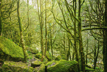 深山图片-深山素材-深山插画-摄图新视界