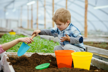 小男孩。小男孩在温室里工作。小男孩园丁玩土壤。小男孩需要妈妈的帮助。花需要很好的照顾