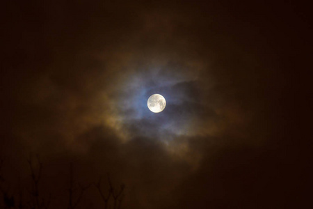 月食在满月。在夜空背景下，超级蓝色的月亮在树上剪影。