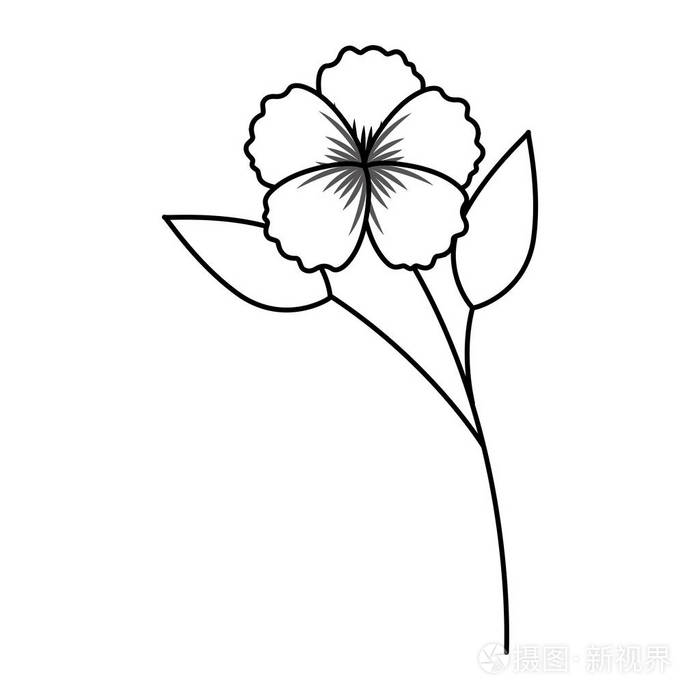 花茎植物在白色背景插画-正版商用图片17lt38-摄图新视界