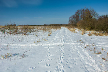 泥土路上覆盖着雪