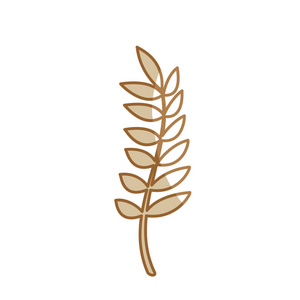 轮廓健康小麦器官植物坚果，矢量插图