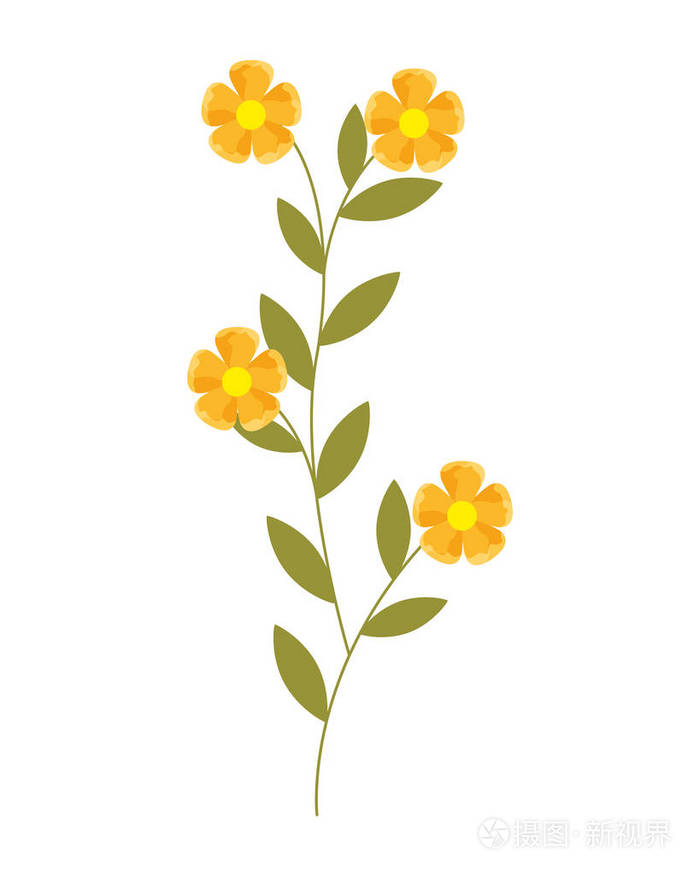 花茎植物在白色背景