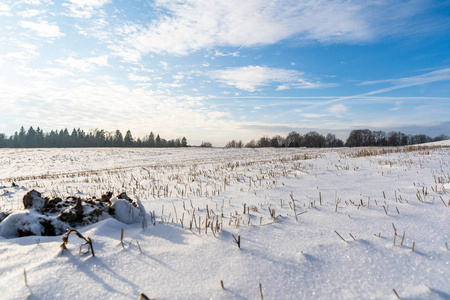 阳光明媚的冬日，空旷的乡村景观，积雪覆盖地面，抽象的背景，深刻的视觉概念，乐趣和快乐