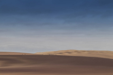 在纳米贝沙漠沙丘上奔跑的一群春岩。 非洲。 安哥拉。