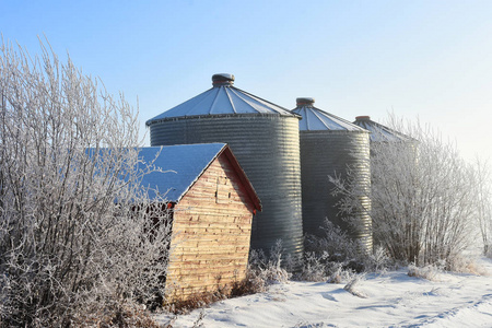 一幅古老的木制农业粮仓在寒冷的冬天早晨的图像。