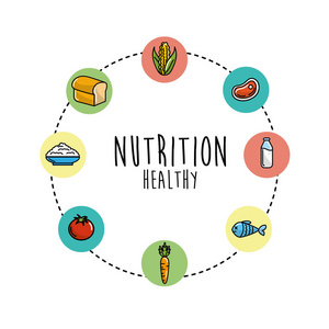 设置营养蔬菜和水果与蛋白质和面粉矢量插图