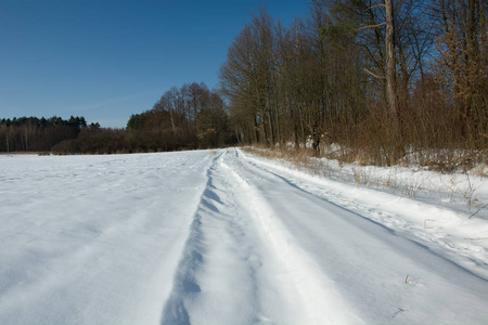 白雪覆盖森林的乡村道路