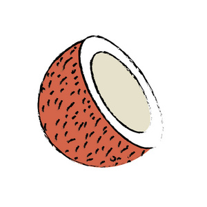 美味的切片椰子吃水果矢量插图