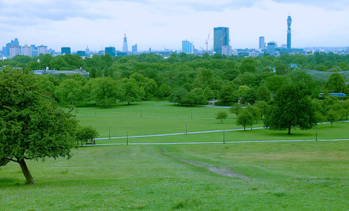 从报春花山公园看到的伦敦天际线
