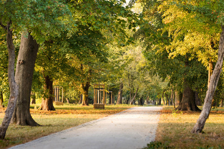 日落时分，公园里的一条小路是散步和思想聚会的理想选择