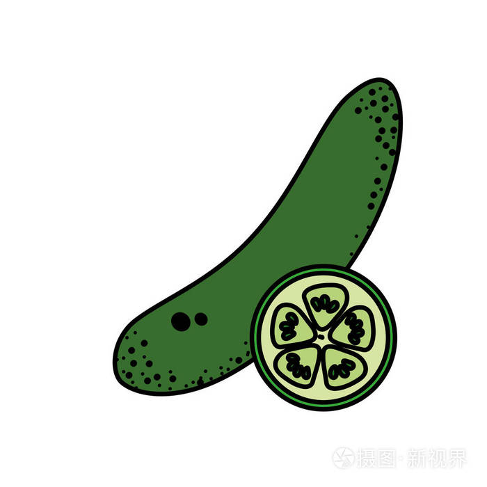 新鲜黄瓜和切片器官食物矢量图插画-正版商用图片17m1n2-摄图新视界