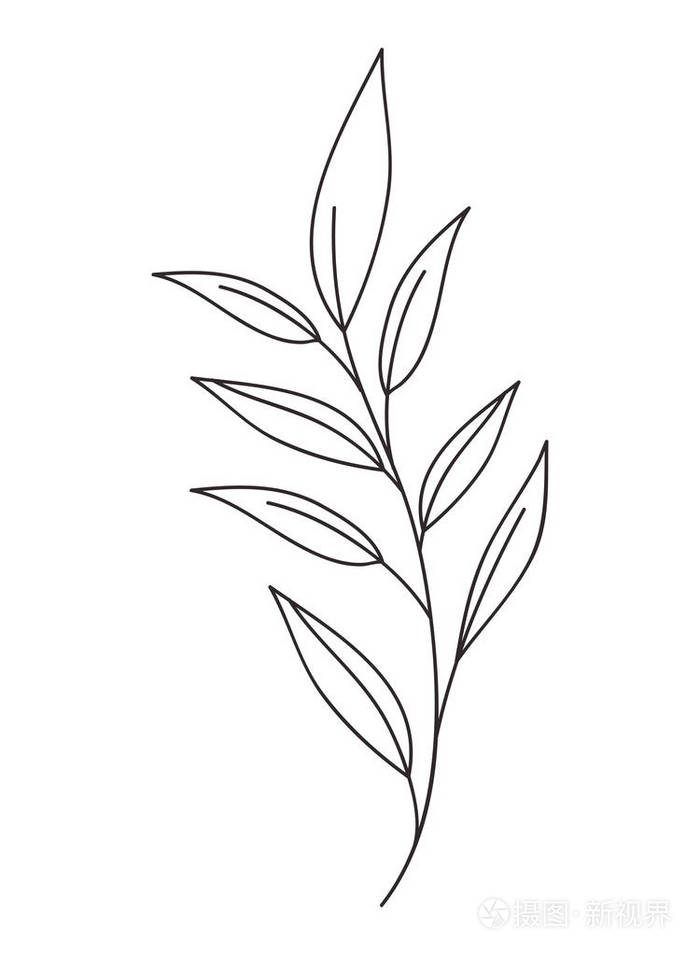 美丽的叶子植物图标插画-正版商用图片17m3gx-摄图新视界