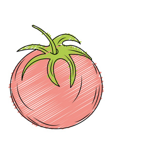 新鲜番茄天然蔬菜营养插图图片