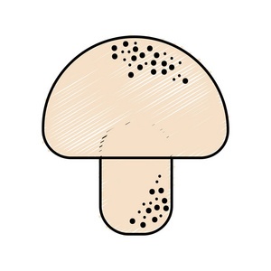 美味的新鲜蘑菇器官食物插图
