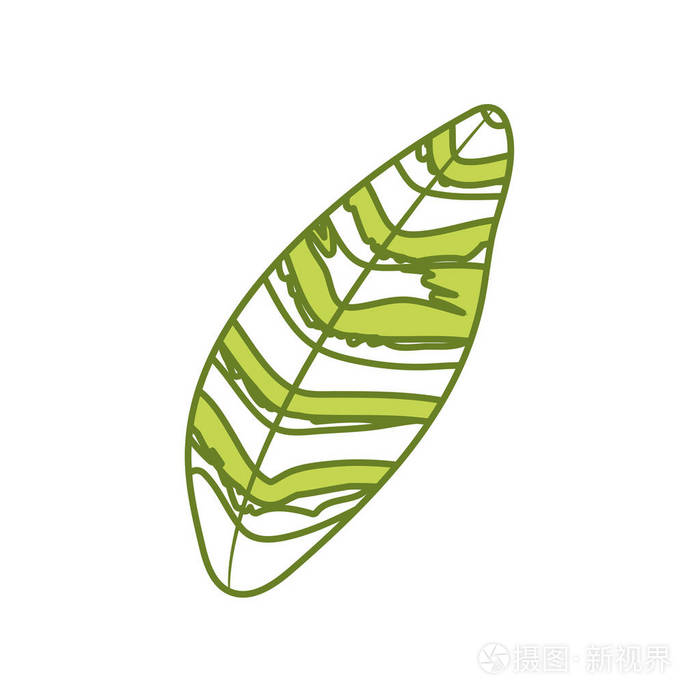 森林中奇异植物的美丽叶子矢量插图