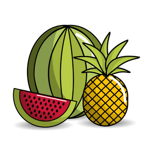 西瓜和菠萝水果图标，矢量图设计