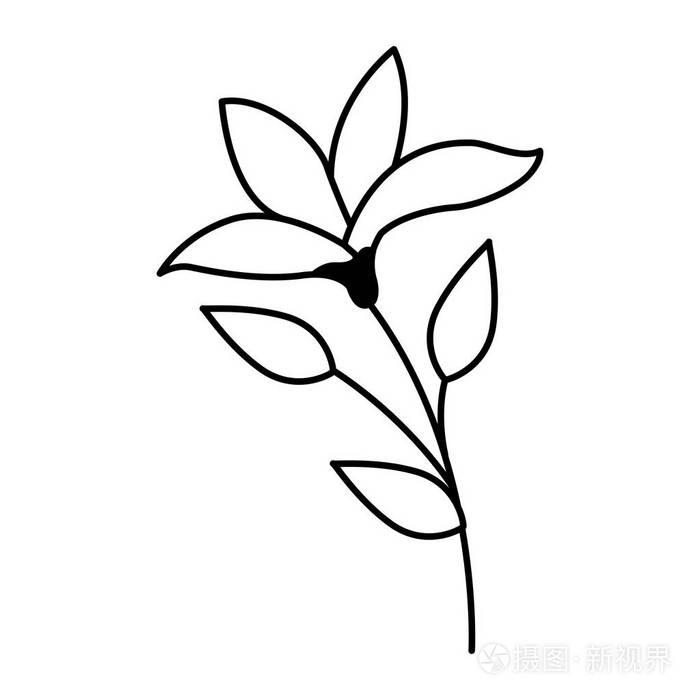 花茎植物在白色背景插画-正版商用图片17m7u4-摄图新视界