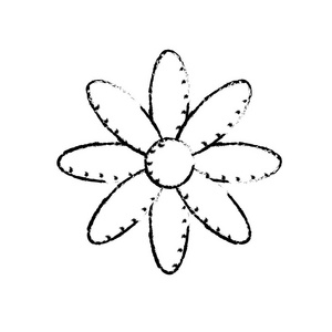 图形天然花卉植物花瓣矢量插图