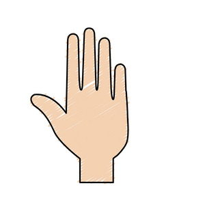 手掌，手指，白色背景矢量图