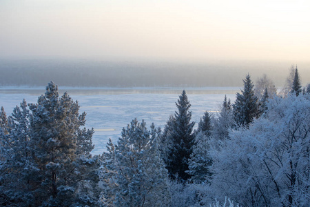 冬季景观。 冬天寒冷的晴天。 白雪覆盖的森林。