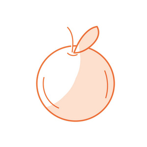 轮廓美味健康的橙色水果矢量插图