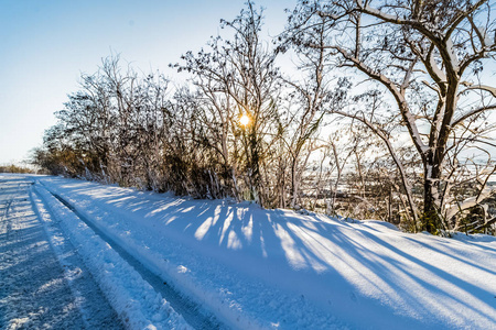 白色的雪，在蓝天下的山上和街道上有树木，温暖的阳光，在雪的背景下成长着旅行和度假的概念