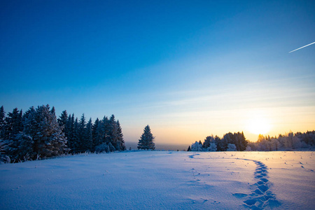 冬季景观。 冬天寒冷的晴天。 白雪覆盖的森林。